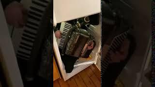 RUSSIAN ACORDEON SLAV IN THE FRIDGE (KOROBEINIKI)