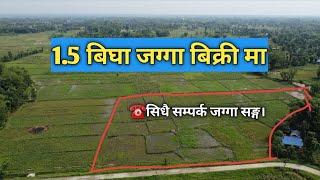 1.5 जग्गा बिक्री मा | सिधै सम्पर्क जग्गा धनी सङ्ग | Morang | Sansare | Pathari | Real estate nepal