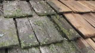 INTEGRITY FINISHING INC, Testing cedar roof cleaning chemicals.wmv