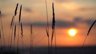 Melody of the Setting Sun – ท่วงทำนองแห่งตะวันลับฟ้า