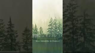 Surat-ul-Fajar | Beautiful  Recitation | Ayat 15 and 16 | Salim Bahanan #shorts