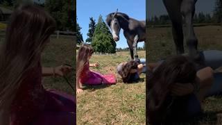 Horse behavior #funny #entertaininganimals #funnypet #funnyanimal #pets
