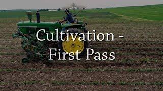 Cultivation - First Pass - Organic Weed Control