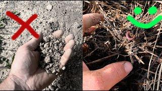 Deep Mulch - Many layers of value