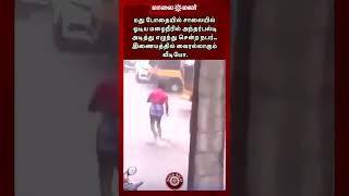 "அடைமழையில் ஒரு அந்தர்பல்டி" | Rain | Viral Video | Maalaimalar