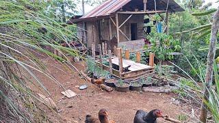 Keadaan Rumah, Setelah Ditinggal 2 Minggu, Kehidupan Nyata Pemuda Kebun