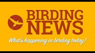 Birding News 2021