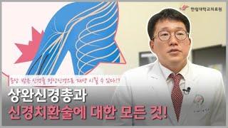 손상 받은 신경을 정상신경으로 재생 시킬 수 있다!? 상완신경총과 신경치환술에 대한 모든 것!