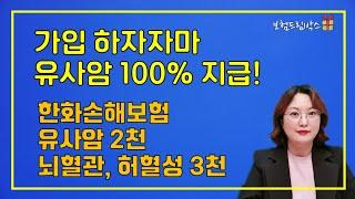 암진단비 90일 이후 100% 유사암 가입즉시 100% 뇌혈관질환진단비 3천만원 허혈성심장질환진단비 3천만원 실화인가요? 한화손해보험 마이라이프 굿밸런스종합보험