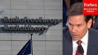 Marco Rubio Asked If US Should Fund Programs Like Radio Free Europe Amid 'Propaganda War'