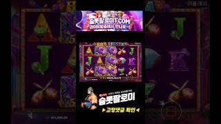 [슬롯][slot][슬롯머신] ️HOT FIESTA️ x1219배 MEGA WIN !!! #슬롯 #슬롯사이트 #슬롯머신 #슬롯실시간 #슬롯팔로미 #shorts