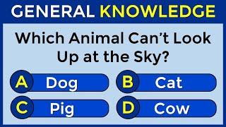 How Good Is Your General Knowledge? Take This 30-question Quiz To Find Out! #challenge 32