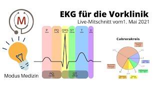 Vorbereitung Physikum: EKG für die Vorklinik || Live-Mitschnitt Modus Medizin Physiologie Tutorium