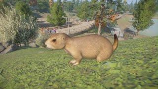 Planet Zoo North America Animal Pack: Black-Tailed Prairie Dog