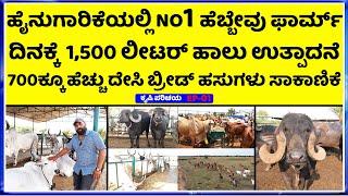 EP-1 Top Biggest Jafarabadi Buffalo Bull || World Best  Kankrej Cow Breed || hebbevu farms