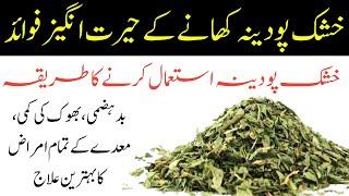 Khushk Pudina Khane Ke Fayde | Health Benefits Of Mint | Pudina Ka Istemal Aur Fawaid