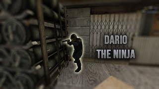 dario the ninja