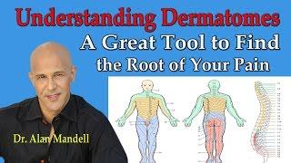 Understanding Dermatomes -- A Great Tool to Find the Root of Your Pain  - Dr Mandell