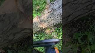 Chainsaw ASMR #asmr #chainsawasmr