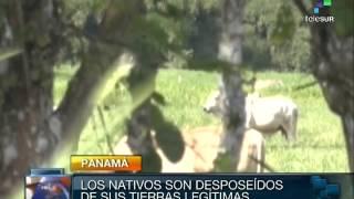 Panama: indigenous Naso people evicted from ancestral lands