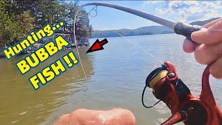 HUNTING BIG FISH to CATCH on the TENNESSEE RIVER !!