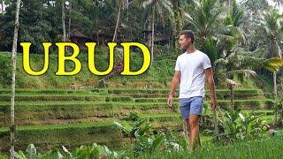 4 Days in UBUD, BALI - Things to Do & First Impressions