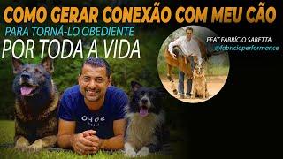 COMO GERAR CONEXÃO COM SEU CÃO E TORNÁ-LO OBEDIENTE POR TODA VIDA