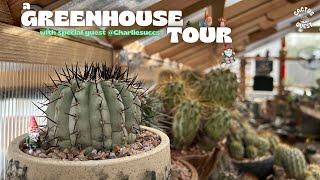 IF YOU COLLECT PLANTS STOP AND WATCH THIS: GARDEN GNOME GREENHOUSE TOUR W/ @CHARLIESUCCS