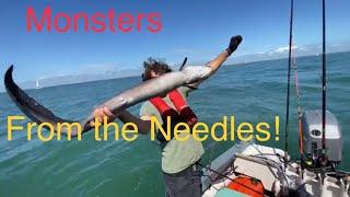 Mixed fishing at the Needles. #fishing #seafishing #adventure