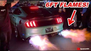 MASSIVE 2 STEP FLAMES! Mustang vs Huracan vs 370Z Competition