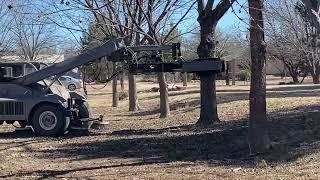 “Big Pecan Harvest on Our Small Scale Farm"Family Harvest Time,Farewell to a Great First Season Ep5