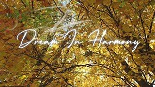 Relaxing Piano Music | Dream in Harmony | Forest Sounds