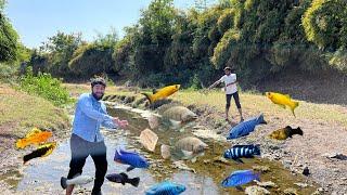 Bahot Unique Pattern Strip Wali Fish Mili Aaj #riverfishing