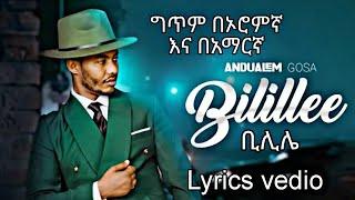 Andualem Gosa - Bilillee (ቢሊሌ) |Official Lyrics| በግጥም