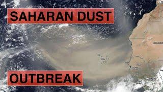 Saharan Dust Choking the Atlantic of Tropical Development