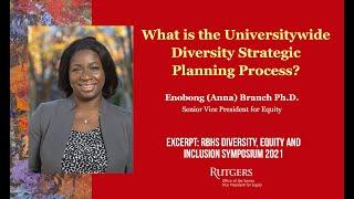 What is the University Diversity Strategic Planning Process?