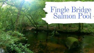 Salmon Pool via Fingle Bridge, Hunters path and Fisherman's path loop. Devon walk and swim.