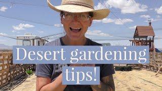 Top Desert Gardening Tips