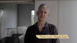 THE QUAIL FARMER - Charlie Scott from Redgate Farm