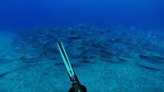 Spearfishing for Mulloway / Jewfish on coastal headlands