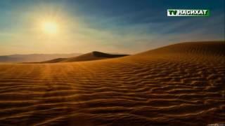 История шайтана и человека ТВ НАСИХАТ