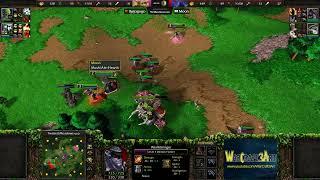 Moon(NE) vs Fly(ORC) - Warcraft 3: Classic - RN7323