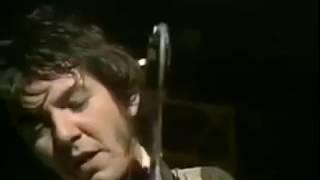 Ronnie Lane and Slim Chance Live - What Went Down That Night With You