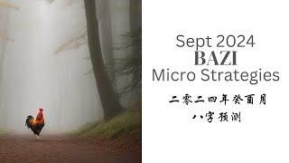 September 2024 Bazi Micro Strategies  二零二四年癸酉月八字预测