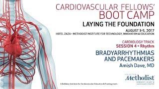 Bradyarrhythmias and Pacemakers (Amish Dave, MD)