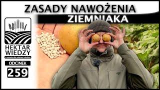 ZASADY NAWOŻENIA ZIEMNIAKA W UPRAWIE POLOWEJ.  | ODCINEK 259