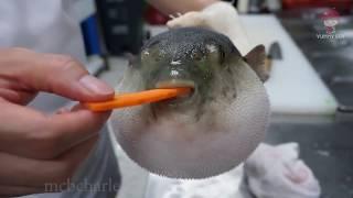 how to properly prepare pufferfish