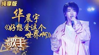 【纯享版】华晨宇《好想爱这个世界啊》治愈系暖曲沁人心脾《歌手·当打之年》Singer2020 SinglesVersion【芒果TV音乐频道HD】