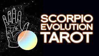 SCORPIO TAROT: The Three Phases of Scorpio Evolution Tarot Reading (Scorpion, Eagle, & Phoenix)