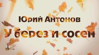 Юрий Антонов - У берез и сосен. FullHD